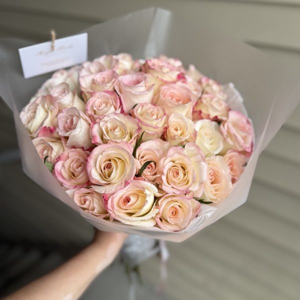 Blush Elegance