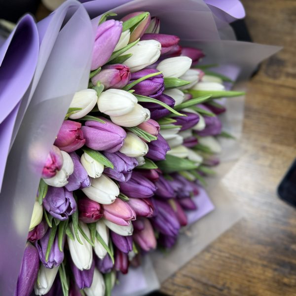Bloom Burst