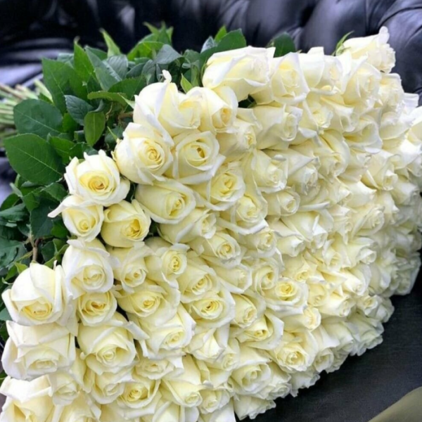 Ivory Promise