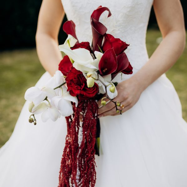Crimson Silk Symphony