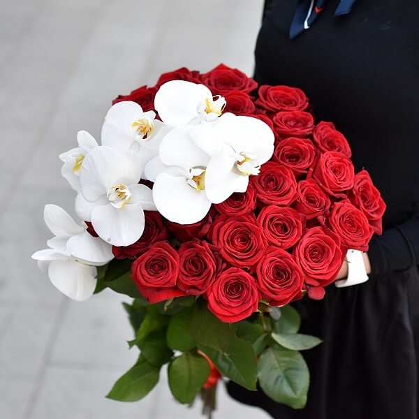 Scarlet No. 50