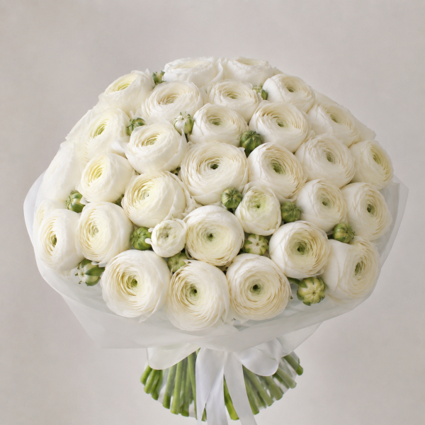 Cloud Ranunculus