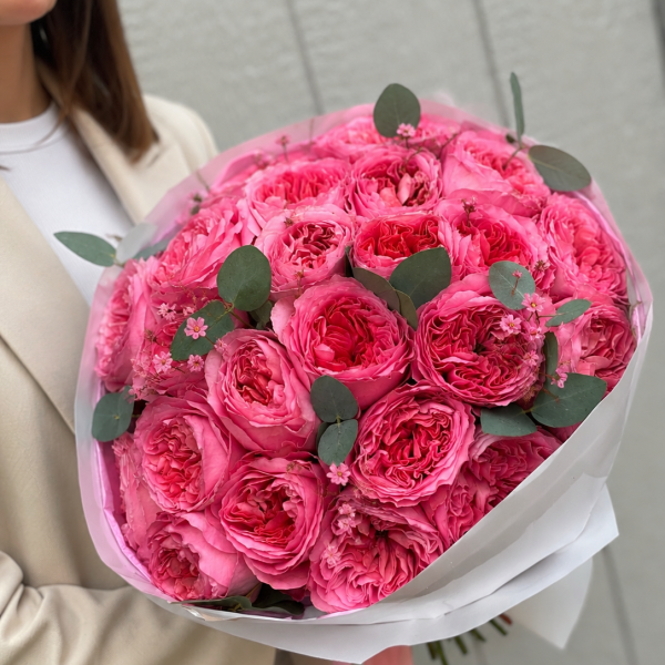 Pink Velvet Garden