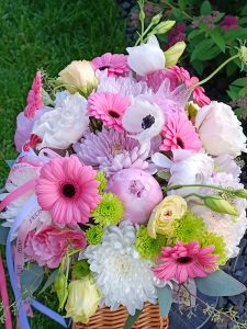 IMG_20260613_101400