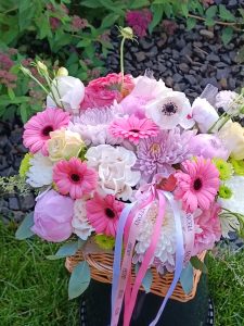 IMG_20260613_101426